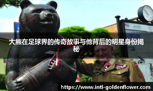 大熊在足球界的传奇故事与他背后的明星身份揭秘